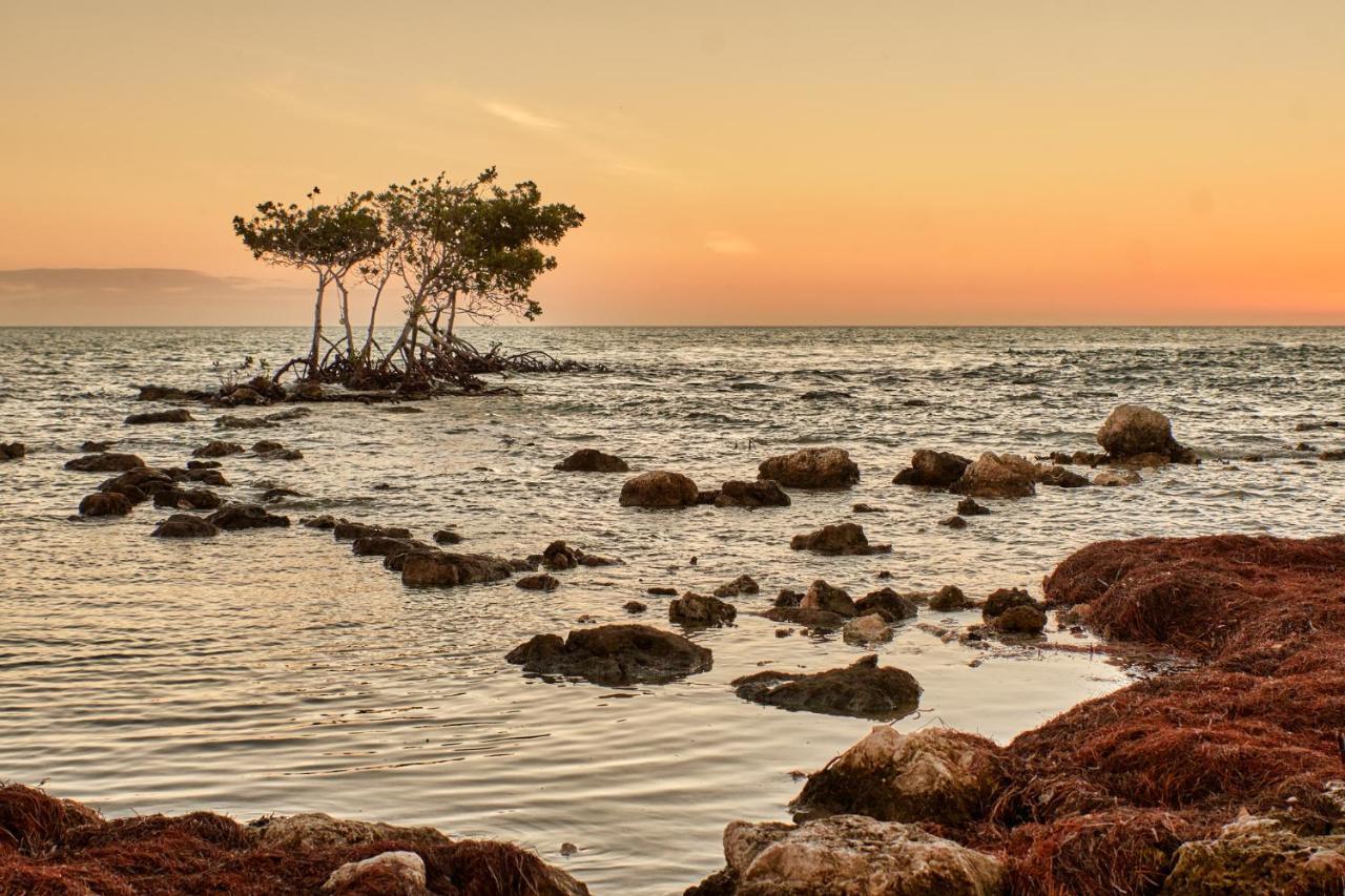 Isla Bella Beach Resort & Spa - Florida Keys Маратон Екстер'єр фото